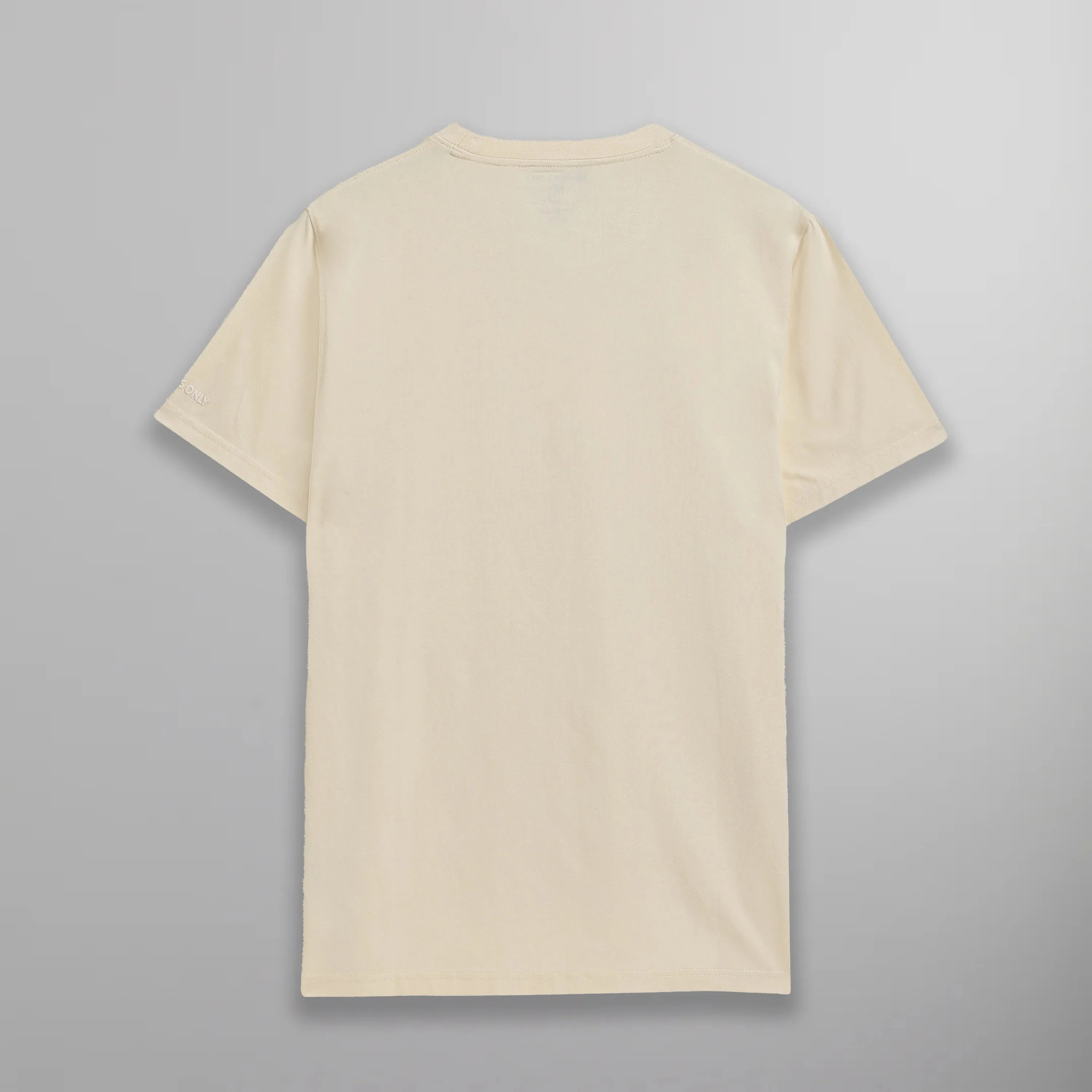 Women's Oversized Crew Neck T-Shirt